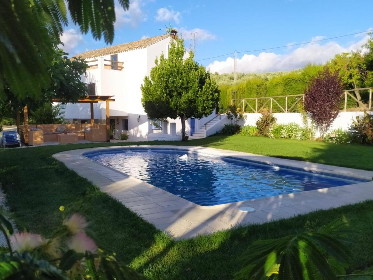 La Casa De La Abuela ξενώνας Setenil De Las Bodegas Εξωτερικό φωτογραφία