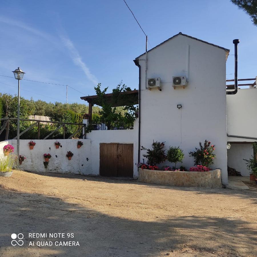 La Casa De La Abuela ξενώνας Setenil De Las Bodegas Εξωτερικό φωτογραφία